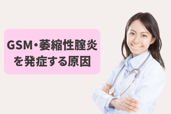 GSM・萎縮性腟炎を発症する原因