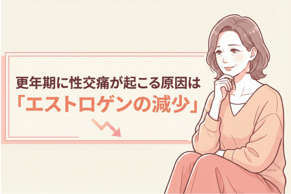 更年期に性交痛が起こる原因は「エストロゲンの減少」