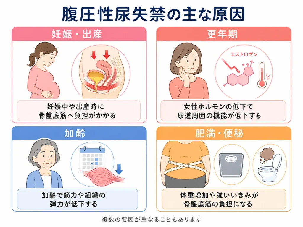 腹圧性尿失禁の原因