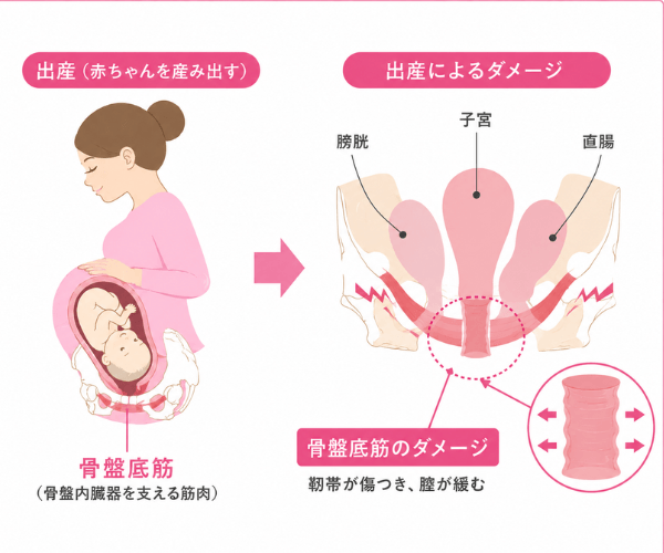 腟が緩くなる
