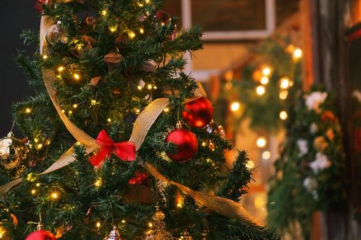 ＊12月診療予定とキャンペーン＊